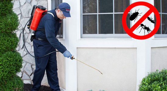 Ortaca Akrep İlaçlama böcek ilaçlama ve haşere kontrolü — ilaclama-tr.com